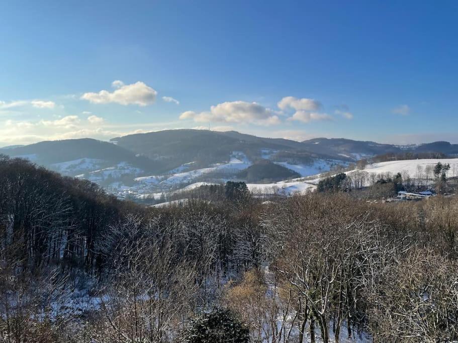 Traumhafter Blick Mit Wohnung Lindenfels Eksteriør billede